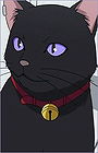 Mao (Darker than Black)
