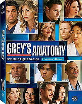Greys anatomy season 8