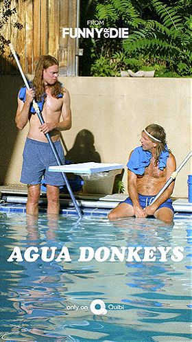 Agua Donkeys
