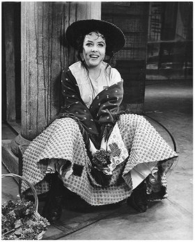 Diane Todd