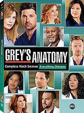 Greys anatomy season 9