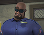 Officer X