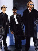 The Bee Gees