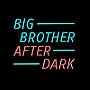 Big Brother: After Dark