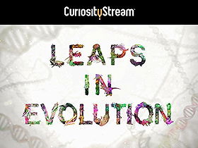 Leaps in Evolution
