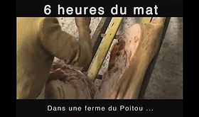 Jurons et Charcuterie