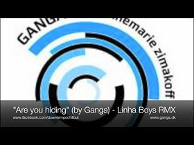 Are You Hiding feat. Annemarie Zimakoff (Linha Boys Remix)