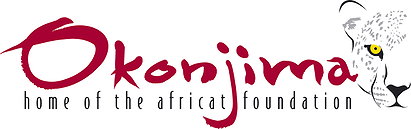 Okonjima