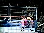 Bret Hart vs. Yokozuna (1993/08/13)