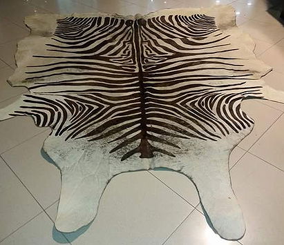 GENUINE ZEBRA COWHIDE RUG BRAZILIAN PREMIUM HAIR