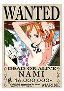 Nami(One Piece)