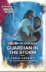 Colton 911: Guardian in the Storm (Colton 911: Chicago, 6)
