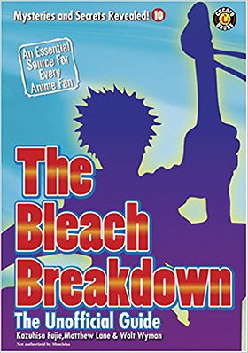 The Bleach Breakdown: The Unofficial Guide (Mysteries and Secrets Revealed!)