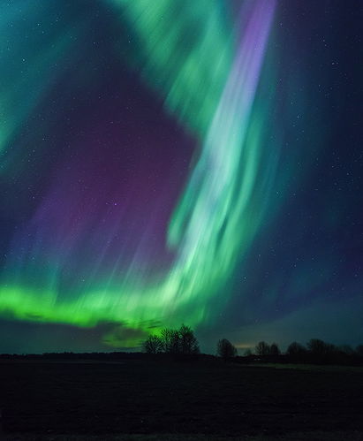 Aurora