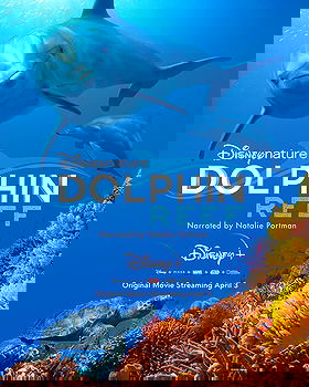 Dolphin Reef