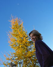 Niamh Adkins pictures and photos