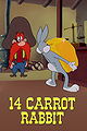 14 Carrot Rabbit