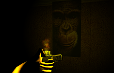 A Life in the Night