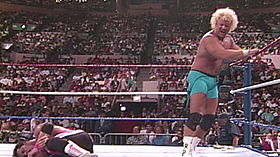 Bret Hart vs. Mr. Perfect