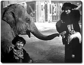 Tiny Tim and the Adventures of His Elephant