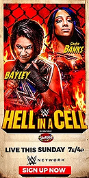 WWE Hell in a Cell