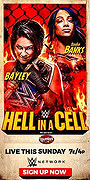 WWE Hell in a Cell