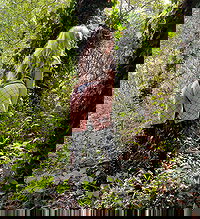 Cassie Bale pictures and photos