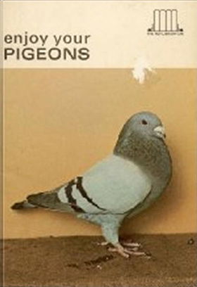 Enjoy Your Pigeons