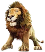 Samson the Lion