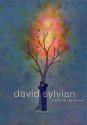 David Sylvian: Fire In A Forest - Trophies 3