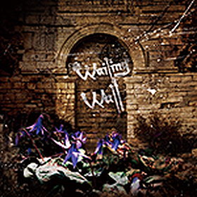 Wailing Wall (Limited Edition)