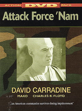 Attack Force 'Nam