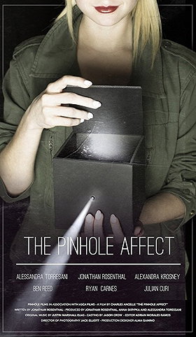 The Pinhole Affect                                  (2015)
