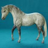 Breyer Azteca is in your collection!