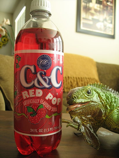 C&C Red Pop