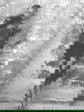 Rachel Pizzolato pictures and photos