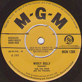 Wooly Bully