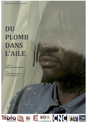 Du plomb dans l'aile