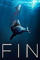 Fin