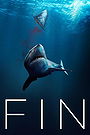 Fin