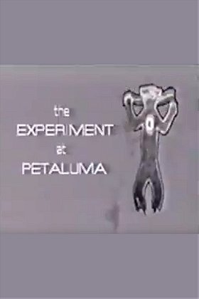Terence McKenna: The Experiment at Petaluma
