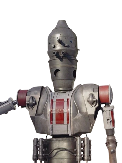 IG-11