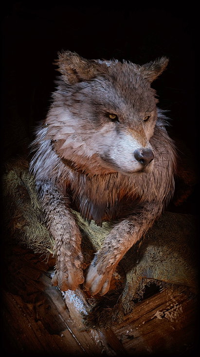 Svanna (God of War)