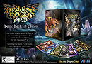 Dragon's Crown Pro - Battle Hardened Edition