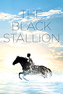 The Black Stallion