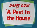 A Pest in the House