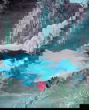 Donyale Luna pictures and photos