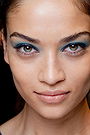 Shanina Shaik