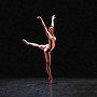 Darcey Bussell