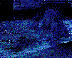 Hellhounds